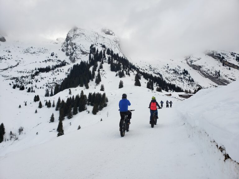 Meilleurs spots de vtt sur neige dans les Alpes